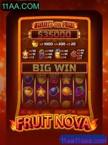 Descubra o Vibrante Mundo de FruitNova no 11AA.COM